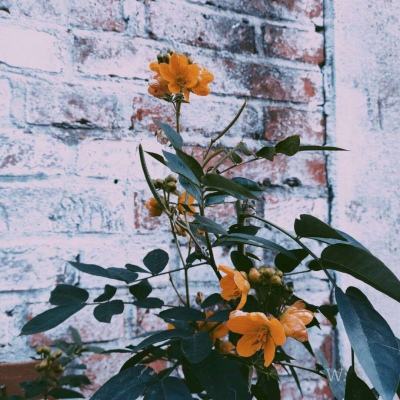 B体育旧版本官网下载苹果